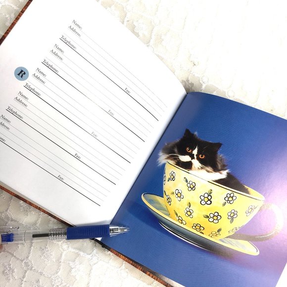 Address Book Cat Kitten Antics Vintage - Picture 2 of 8